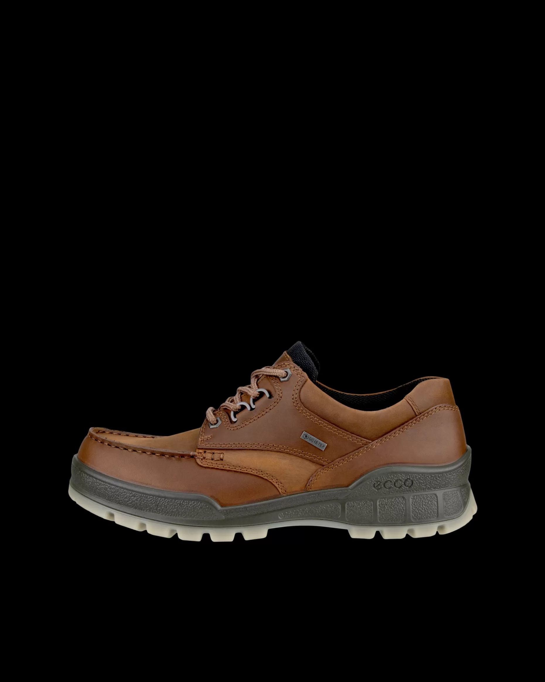 Ecco MEN'S TRACK 25 MOC GTX SHOE