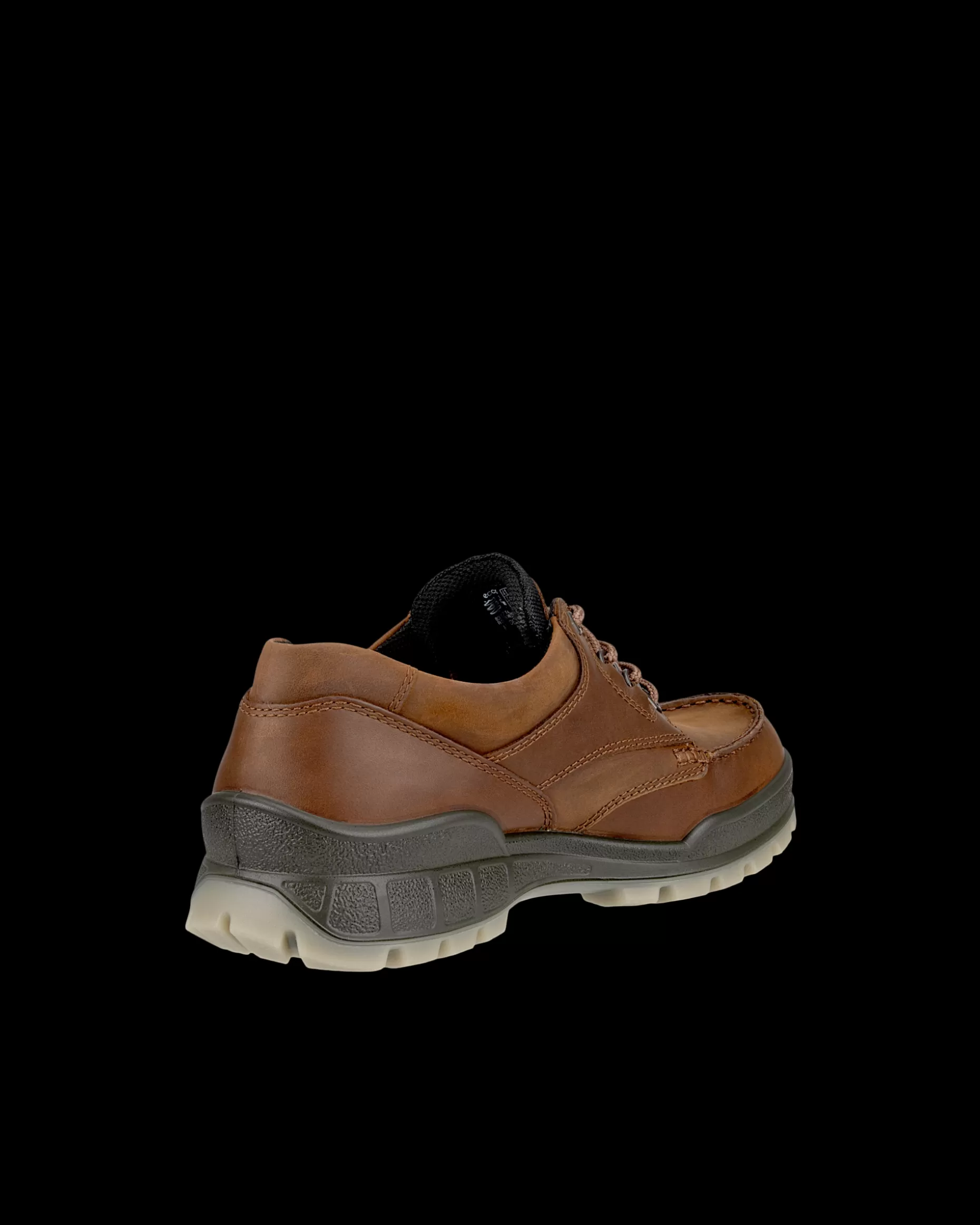 Ecco MEN'S TRACK 25 MOC GTX SHOE